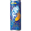 Rani, Mango, Egypt, 24x240ml